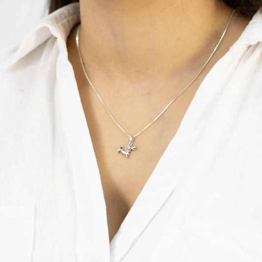 Collar de plata 925